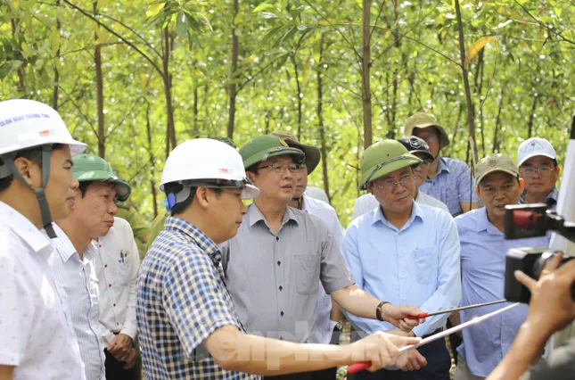 Bí thư, Chủ tịch tỉnh Bình Định khảo sát tiềm năng núi Vũng Chua